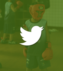 Link para twiter